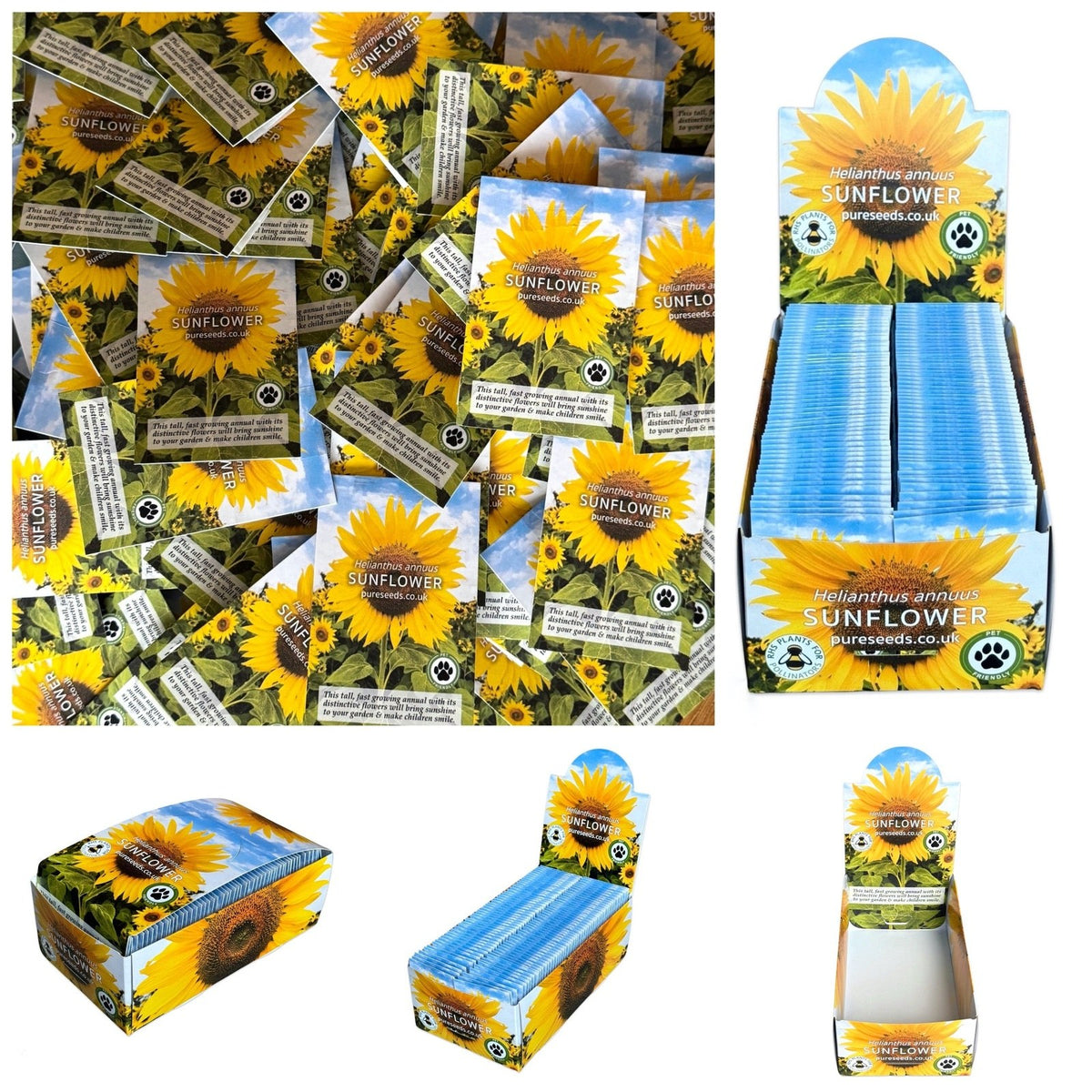 Sunflower Seeds Bulk Wholesale Pure Seeds